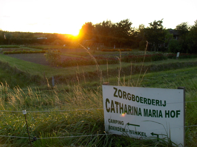 Catharina-Maria Hof