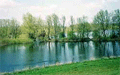 De Rijnhof