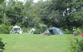 Camping Landgoed Molecaten